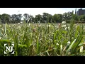 NJ s allergy season is longer harder due to climate change