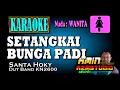 SETANGKAI BUNGA PADI || Santa Hoky || KARAOKE Nada WANITA