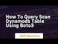How to query scan dynamodb table using boto3