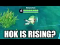 Download Lagu THIS SUPPORT FANNY OF HOK IS MY NEW FAV! | HONOR OF KINGS IS RISING?