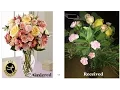 FTD Flowers Online Review