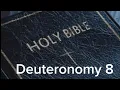 Deuteronomy 8 NIV The Bible