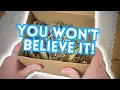 Let s Dig for Treasure Mystery Vintage Jewelry Unboxing