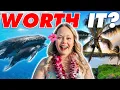 Maui Hawaii In 2025 Reality Of Visiting Worth it