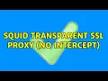 SQUID Transparent SSL proxy no intercept