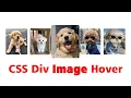 Image Hover Card Effect HTML CSS Only Stylish Div Box Animation