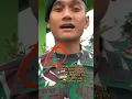 Download Lagu pangkat Letda (Letnan dua) #tni