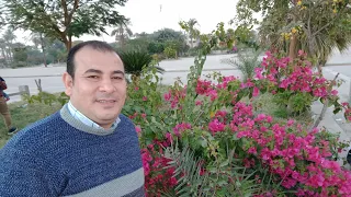  ترنيمة مين يقدر يقول مغفوره الخطايا رضا لبيب رضا لبيب   ترنيمة مين يقدر يقول مغفوره الخطايا دندنها