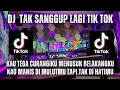 Download Lagu DJ TAK SANGGUP LAGI VIRAL TIK TOK TERBARU 2023