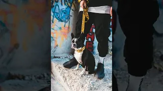 gumz in the beginning feat bruce me 