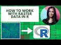 How to work with RASTER DATA in R