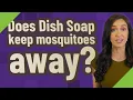 Does Dish Soap keep mosquitoes away