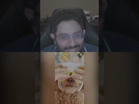 AI Puppy Spa