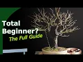 The Bonsai Guide for Beginners No Fluff Just Facts
