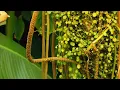 Download Lagu CINEMATIC NATURE AESTHETIC 30 DETIK. STORY WA | VIRAL TIKTOK DJ GHOST X JEDAG JEDUG