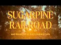 Mini Vlog Yosemite Adventures - Sugar Pine Railroad and Breakfast at Bee s Bakery Cafe