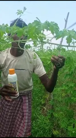करेले की फसल के लिए कौन सी खाद उपयोगी,रांची के किसान ने क्या बताया| वनइंडिया हिंदी
