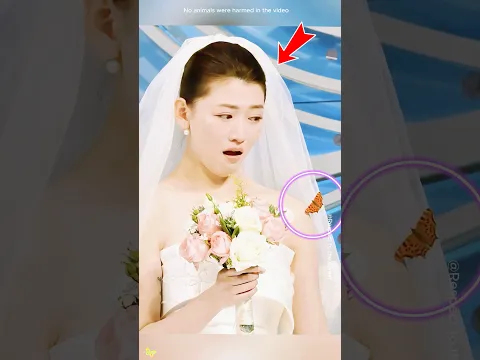 Su padre volvió el día de su boda🦋❤️
