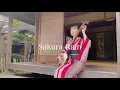 Download Lagu 【Sakura Rain/SAYO KOMADA】Japanese shamisen girl/kimono style