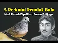 Download Lagu 5 PERKUTUT PENOLAK BALA || Nomer 5 Pernah Dipelihara Oleh Sunan Kalijaga ||