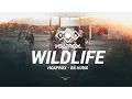 Lagu WILD LIFE (ORIGINAL MIX) - HOAPROX FT BA HUNG - 1 HOUR REPLAY | HOAPROX OFFICIAL