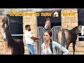 Download Lagu Naye ghar me aa gyi Roopmati or Toral