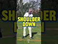 Download Lagu How your spine tilts to the left and right