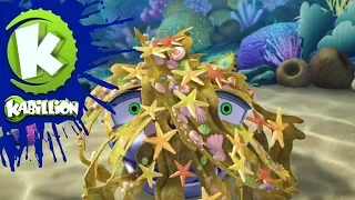 Dive Olly Dive Sea Creature Skid 