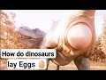 Download Lagu Dinosaurs Laying Eggs: What Really Happened? 🦕 🥚