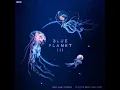 JADE & Hans Zimmer – Into The Deep (Seas Cry) | Blue Planet III