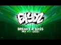DJ FAYDZ - BREAKS \u0026 BASS MIX  07 - BREAKBEAT 2025
