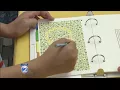 Being Eye Wise for the solar eclipse