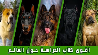 ال     كلاب الاقوى للحراسة حول العالم   دندنها