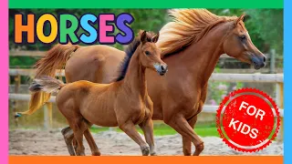 🐴HORSES for Kids🐎 Fascinating Facts about HORSES🐴 Educational Video for Kids