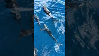 I will never regret not waiting