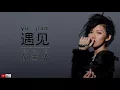 yu jian - sun yan zi (Pinyin)​ 孙燕姿 - 遇见（拼音）【Chinese Song with Pin Yin】(បទចិនប្រែខ្មែរ)