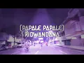 Download Lagu DJ slow papale papale by RidwanDana