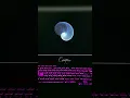 Amazing Graphics Animation Using Python Turtle Python Tutorial
