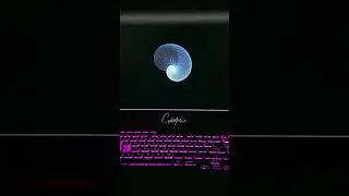 Amazing Graphics Animation Using Python Turtle Python Tutorial