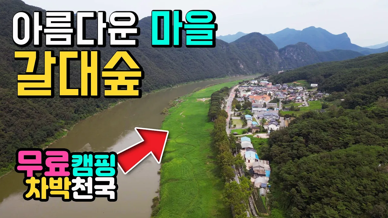 단양 가곡면 남한강 갈대밭 환상적인 갈대숲 노지캠핑차박 수세식화장실 마트 맛집 낭만적인 차박 당일 1박2일 차박캠핑 여행, 남한강변 단양갈대숲 새별공원 캠핑카여행 차박노지 탐방. 썸네일