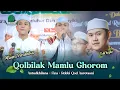 Download Lagu PEMBUKA I Qolbilak Mamlu Ghorom I Antudkhilana I Fina I Robbi Qod Aurostani I Majelis Gandrung Nabi