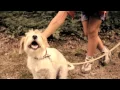 Download Lagu PipsChips\u0026Videoclips - Bi li ili ne bi (official)