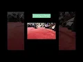 Download Lagu Qadiriyya Dhikr Gathering