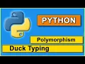 Duck Type polymorphism in python