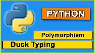 Duck Type polymorphism in python