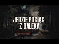 Lagu RYSZARD RYNKOWSKI  - Jedzie Pociąg Z Daleka