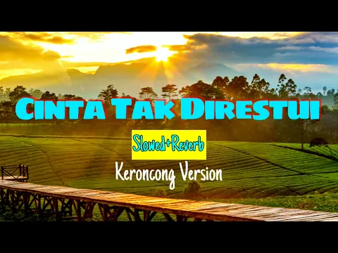 Download MP3 Cinta Tak diRestui - Slowed+Reverb - Versi Keroncong