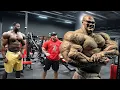 Download Lagu DE VOLGENDE MR. OLYMPIA IS HIER - EEN VERBLUFFENDE TRANSFORMATIE VOOR MR. OLYMPIA - NICK WALKER