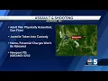 Juvenile arrested in assault shooting incident in Newport NH