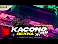 Download Lagu DJ ADUH KACONG BEKNA SENGAK || DJ LAGU MADURA TERBARU 2025